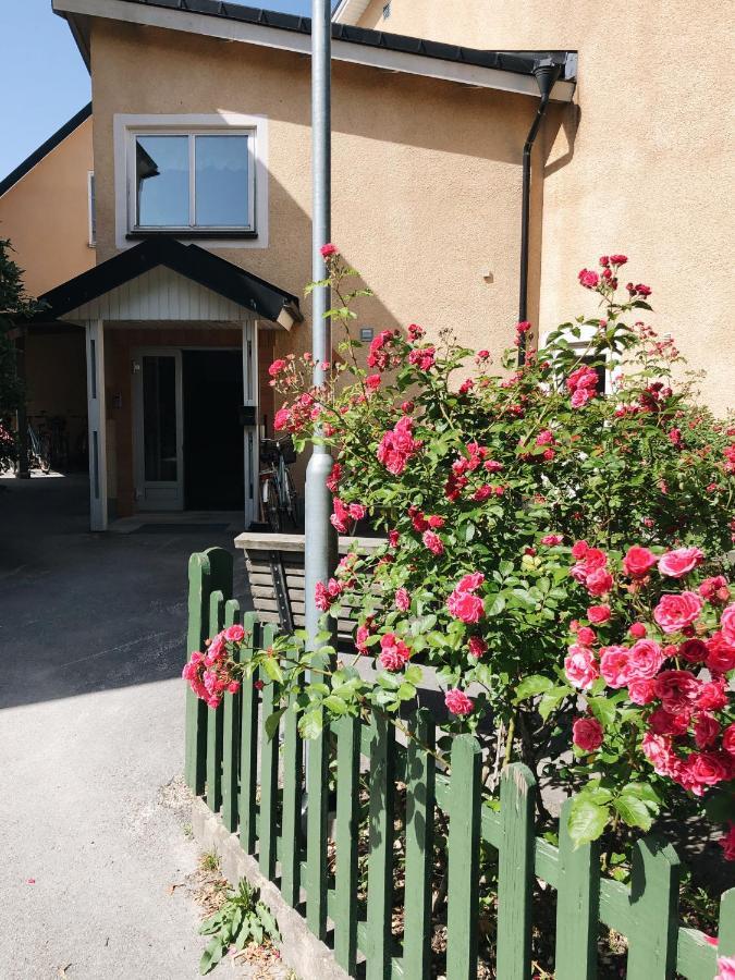 Birkagatan Vandrarhem Albergue Visby Exterior foto